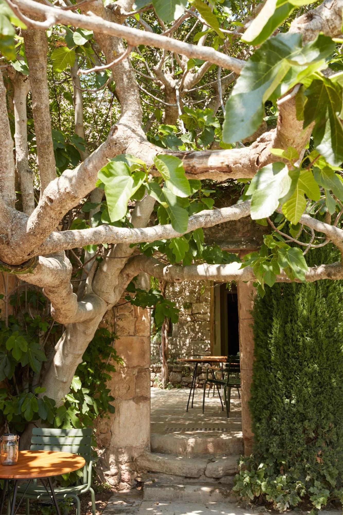 La Bastide Du Mourre Bed & Breakfast Oppède Екстериор снимка